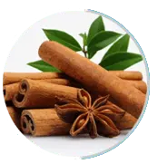 Cinnamon Cassia (Cassia Cinnamon)